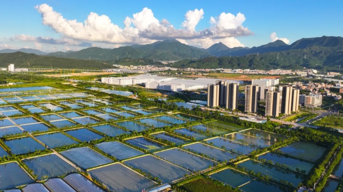 绿卡公司荣获&ldquo;东莞市农业龙头企业&rdquo;称号